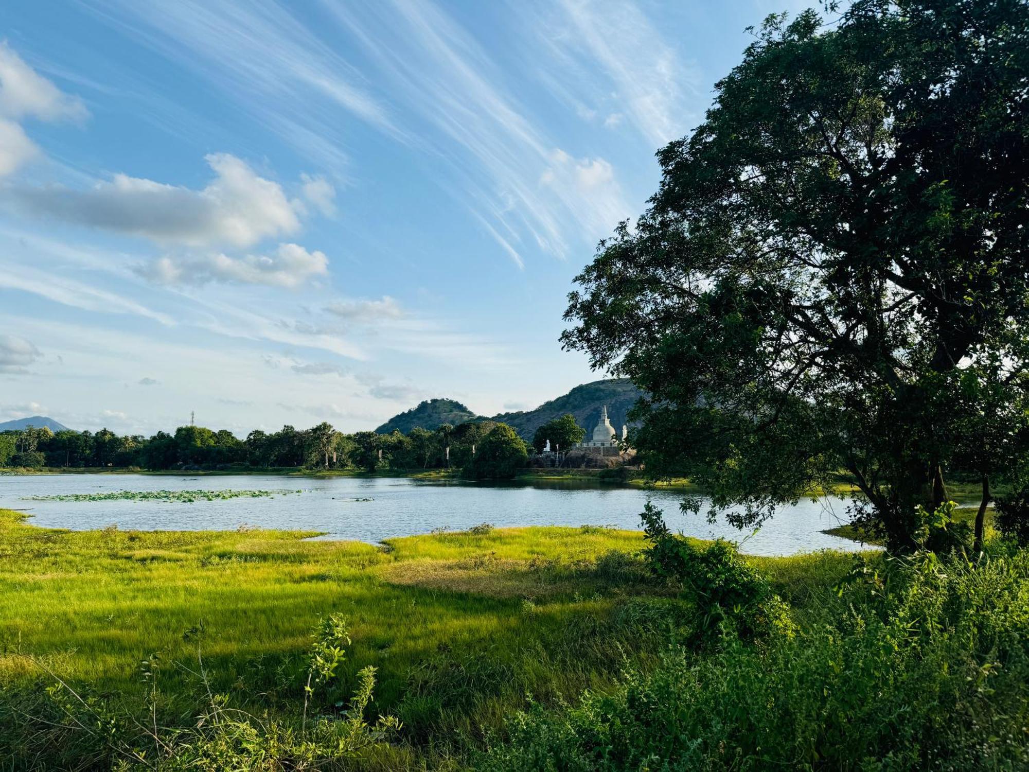 The Green Edge Dambulla Eksteriør bilde